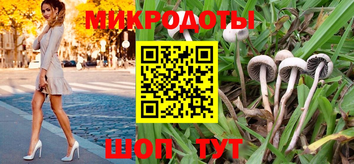 Галлюциногенные грибы Cubensis  Вход с VPN  как найти   Псилоцибиновые грибы Magic Shrooms  Междуреченск 