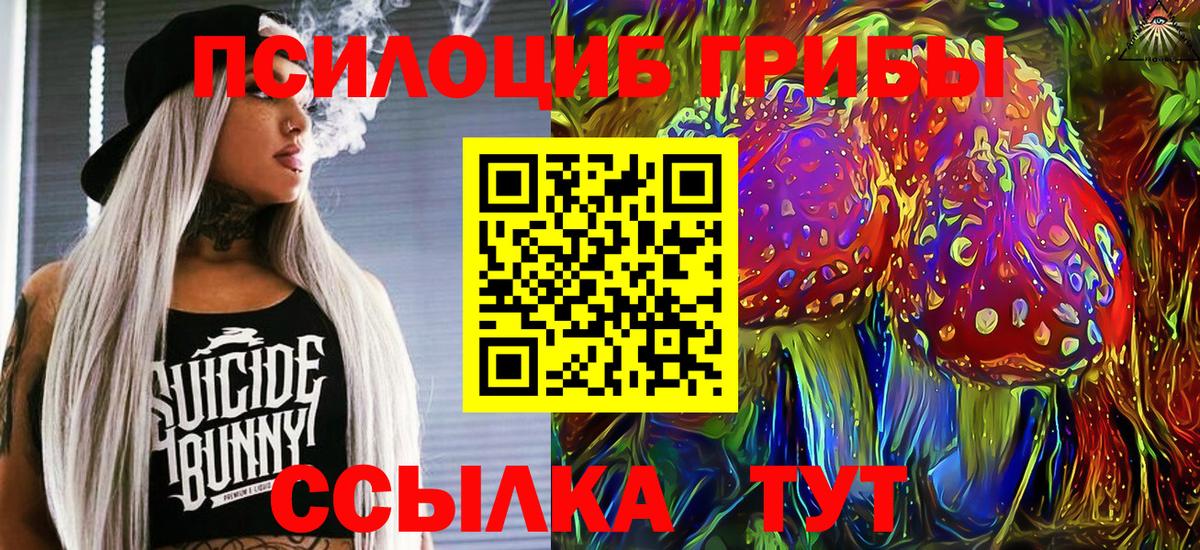 Галлюциногенные грибы мухоморы Междуреченск